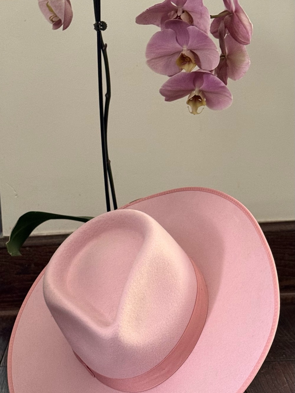 Lack Of Color Soft Pink Wide Brim Felt Fedora